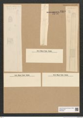 Diatomeae indet. Zeichnungen Sammlung Grunow Nr. 5503 (NHMW-BOT-W0373944)